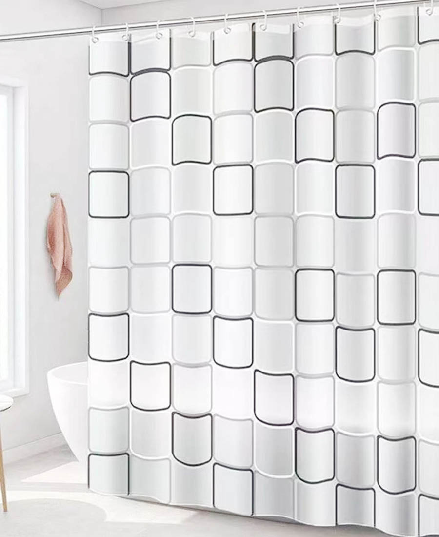 Shower Curtain with Hook